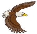 Assista e increva-se em nosso canal no youtube : vídeo novo toda semana. #águia #corvo #motivação #diamelhor #bomdia